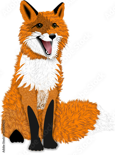 fox