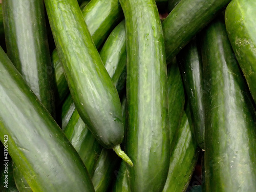 background of long cucumbers. High quality photo