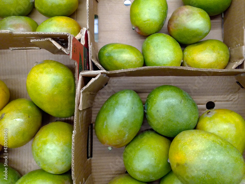 background of mangos. High quality photo