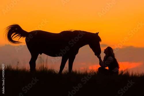 silhouette of a horse bowing his head to a woman sitting on the ground