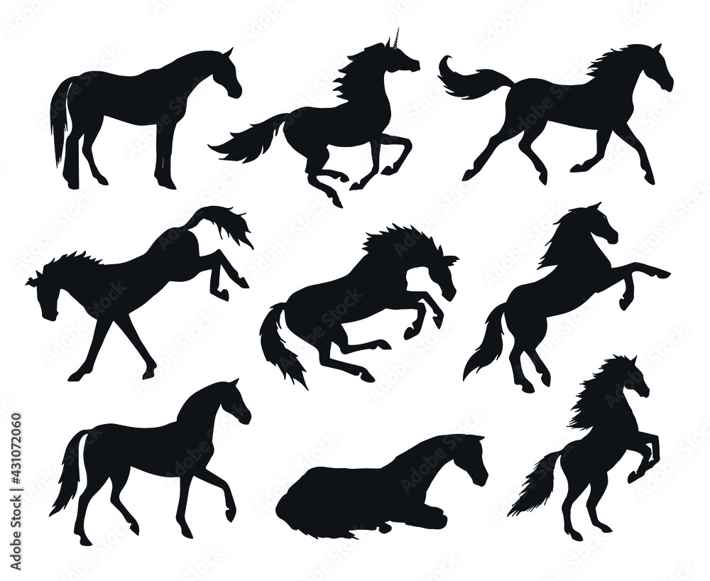 Vector set bundle of hand drawn horse silhouette isolated on white background