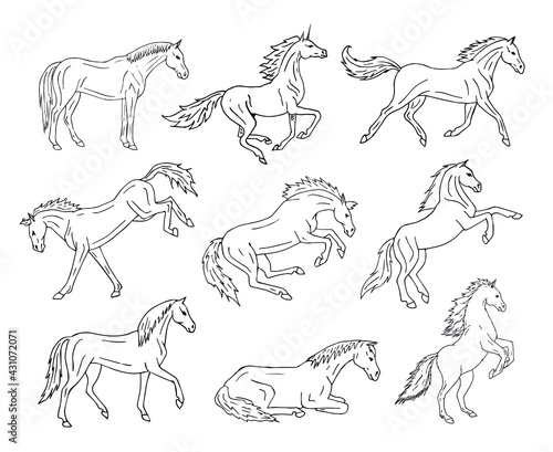 Vector set bundle of different hand drawn doodle sketch horse isolated on white background