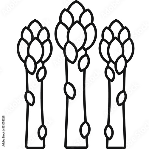  vector simple picture asparagus icon black isolated on white background