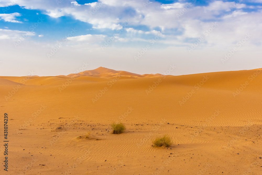 Beautiful landscape of the dunes in the Sahara Desert, Merzouga, Morocco Beautiful landscape of the dunes in the Sahara Desert, Merzouga, Morocco
