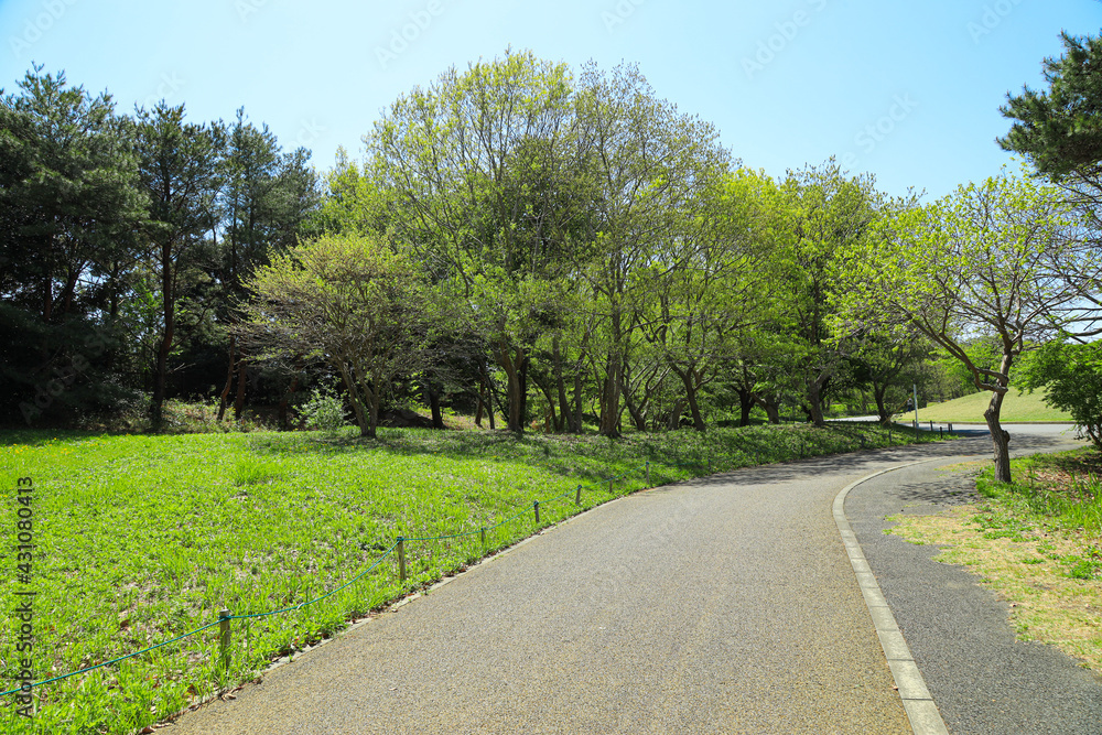 屋外のランニングコースの風景