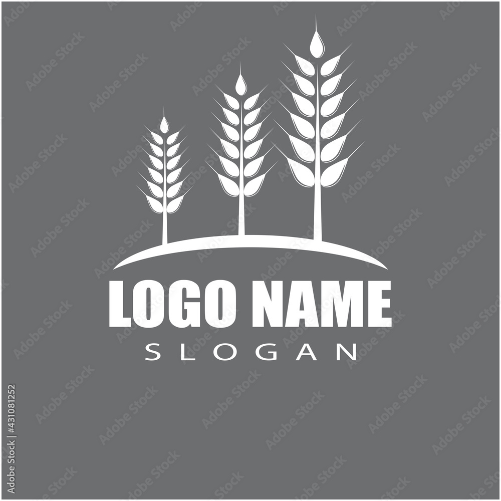 Obraz premium Agriculture wheat vector icon design