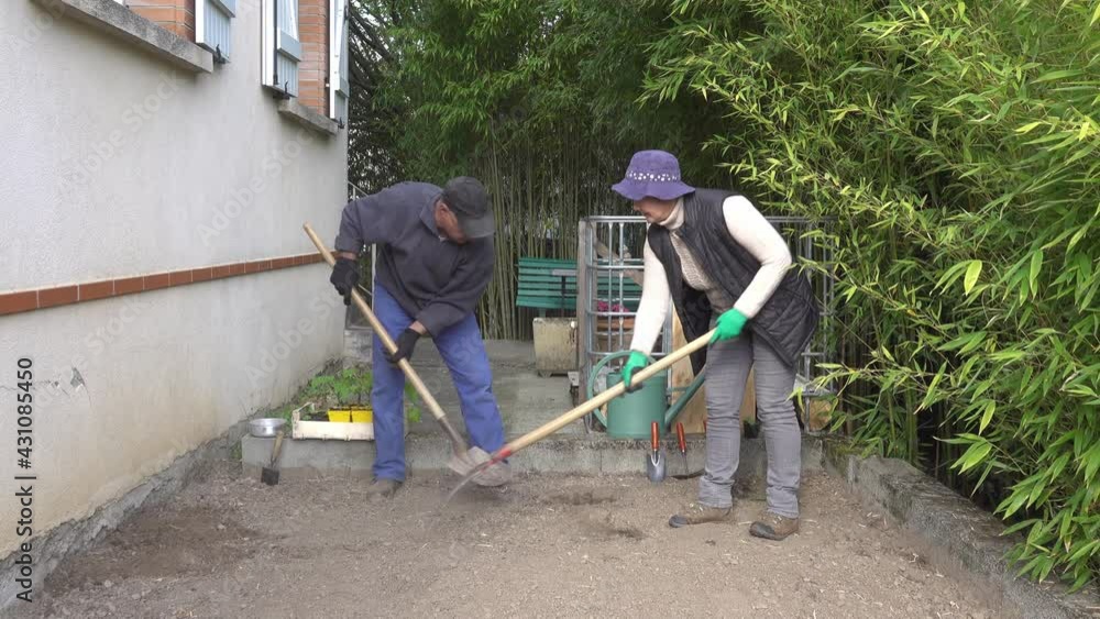 An elderly couple prepares a garden plot near the house for planting vegetables. A man is digging. The woman levels the ground. An elderly couple prepares a garden plot near the house for planting vegetables. A man is digging. The woman levels the ground.