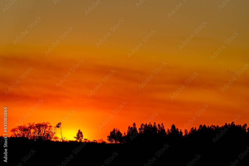 Colorful hues of the evening in the fields of the Pampa biome in southern Brazil. Colorful hues of the evening in the fields of the Pampa biome in southern Brazil.