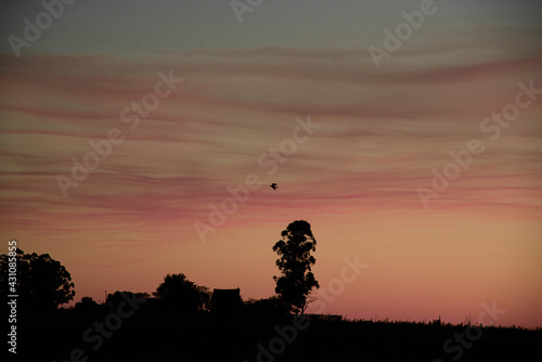 Colorful hues of the evening in the fields of the Pampa biome in southern Brazil.