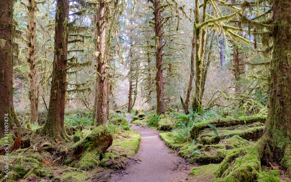 Olympic National Park