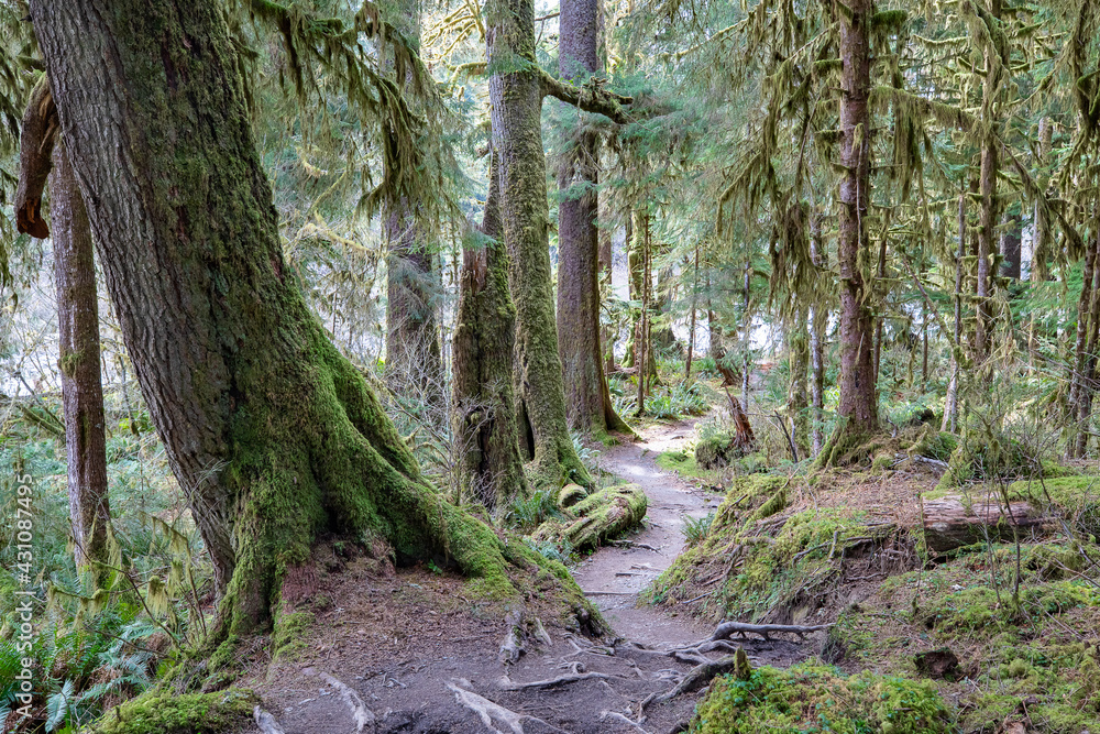 Olympic National Park