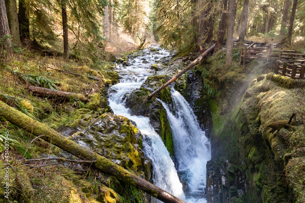 Olympic National Park Olympic National Park