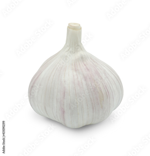Fresh garlic or Allium sativum, Spices ingredient for cooking, Isolated on white background, Cut out with clipping path