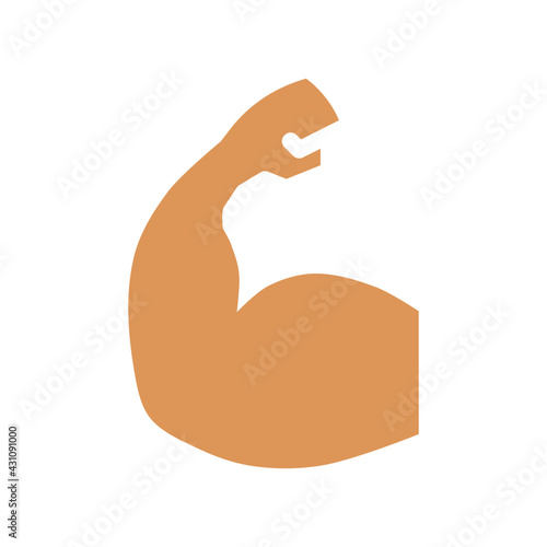 biceps