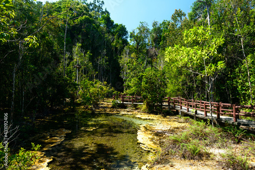 Beautiful yellow and green colors mineral water pond is surrounded by rainforest  Emerald Pool  Khlong Thom District  Krabi  Thailand.