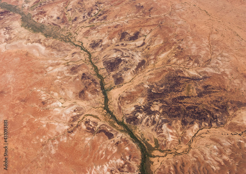 Tree tine dry creek in the arid land of central Australia