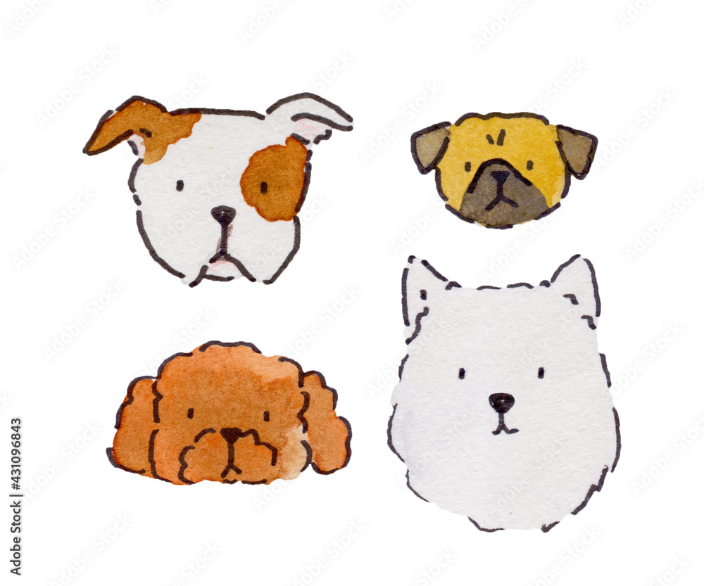 set of dog breeds watercolor illustration Poodle Pug Pitbull Samoyed set of dog breeds watercolor illustration Poodle Pug Pitbull Samoyed