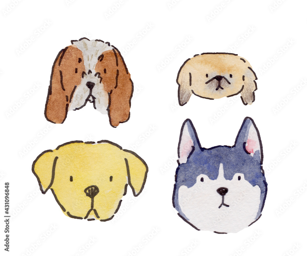 set of dog breeds head watercolor cartoon Husky, Pekingese, Italian Spinone, Labrador