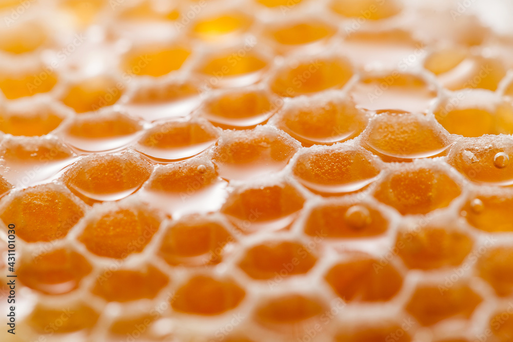 close up of honeycomb fill with honey. close up of honeycomb fill with honey.