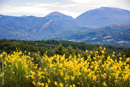 Lanscape of Pollino national park in summer, Basilicata region, ITaly 