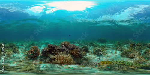 Fototapeta Naklejka Na Ścianę i Meble -  Tropical fishes and coral reef underwater. Hard and soft corals, underwater landscape. Philippines. Virtual Reality 360.