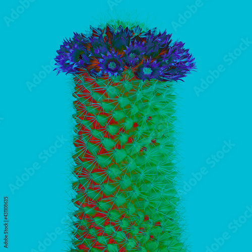 サボテン 花 青