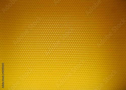 
 wax honeycomb