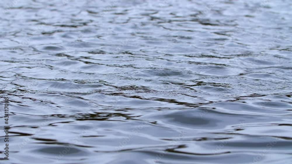 Slow flowing river water. Low angle shot, shallow depth of field. Slow flowing river water. Low angle shot, shallow depth of field.