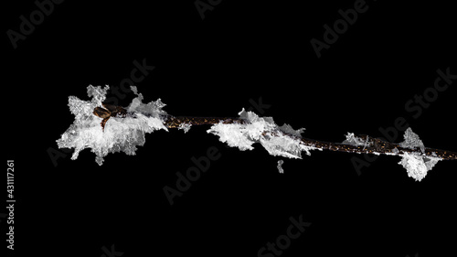 A branch in frost on a black background