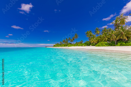 Tropical resort beach paradise. Amazing nature scene, coast, shore. Summer vacation, travel adventure. Luxury holiday landscape, stunning ocean lagoon, blue sky palm trees. relax idyllic inspire beach