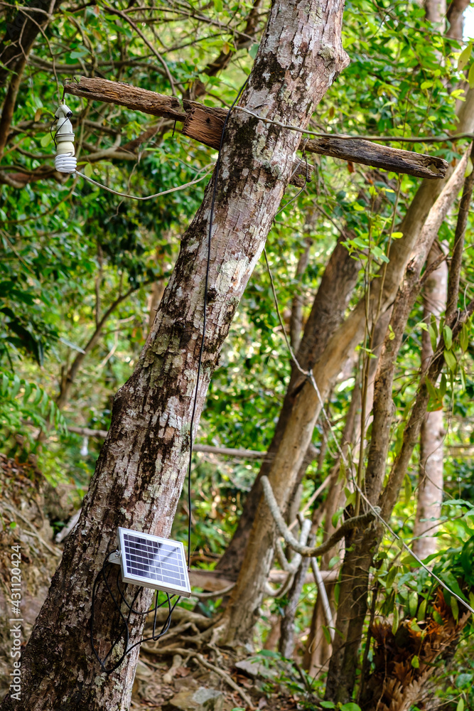 Obraz premium Renewable energy conception, small solar panel mounted on tree, blurred trees in background, green energy.