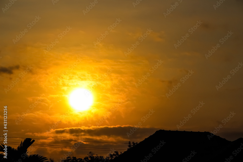 Close up sunrise and silhouette of roof tree on sky morning background