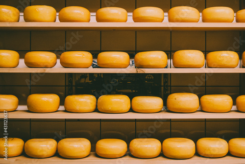 Typical Dutch cheeses stored for curing in a cheese factory