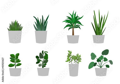 vector illustration of types of ornamental plants illustration, vector, leaf, nature, design