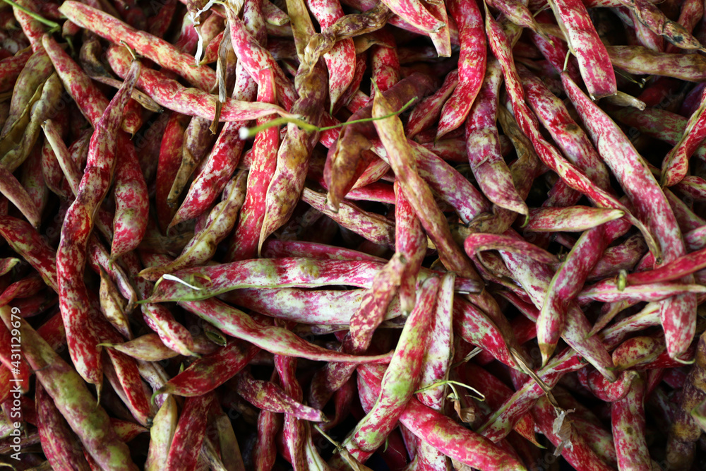 Lots of fresh pinto beans on grocery shelf. Lots of fresh pinto beans on grocery shelf.