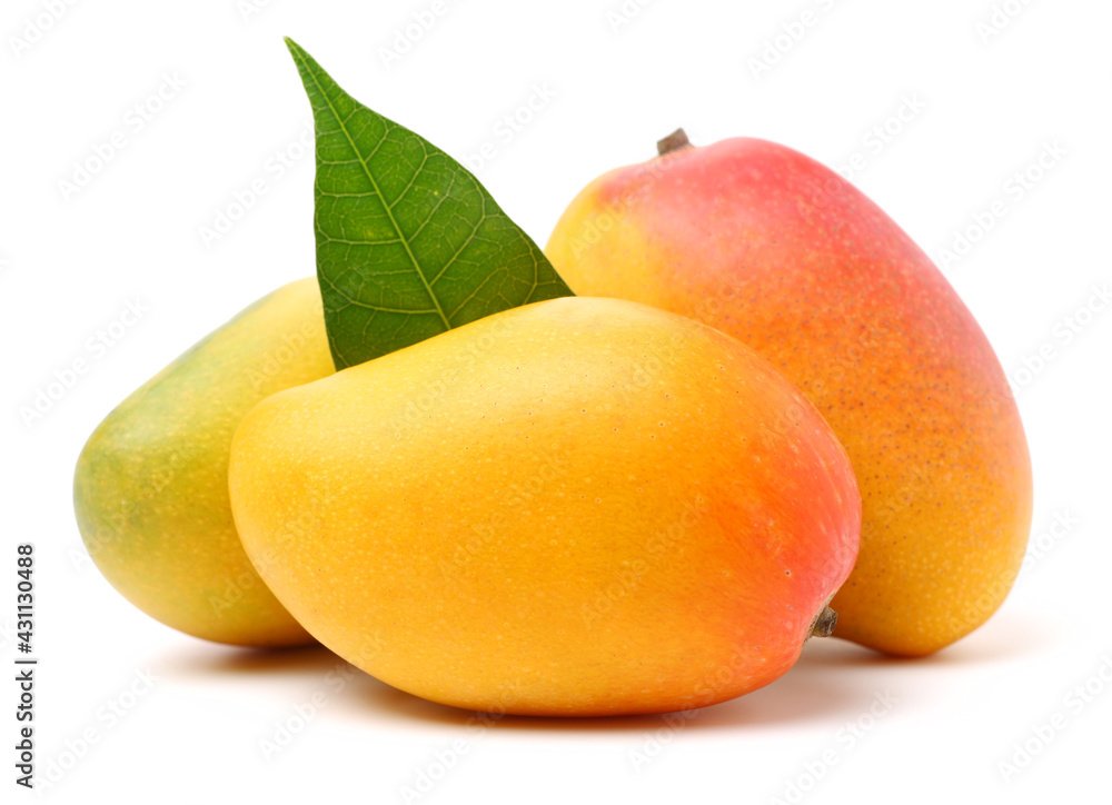 mangos on a white background 