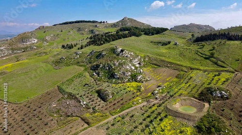 vineyard