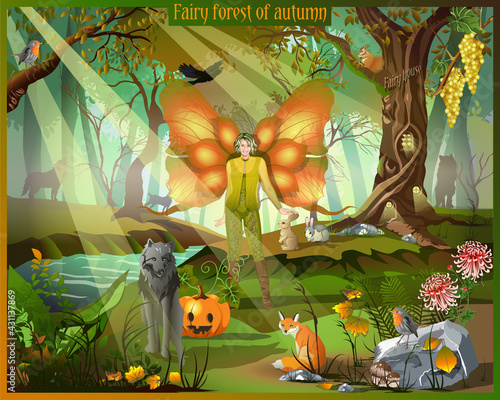Magic autumn forest