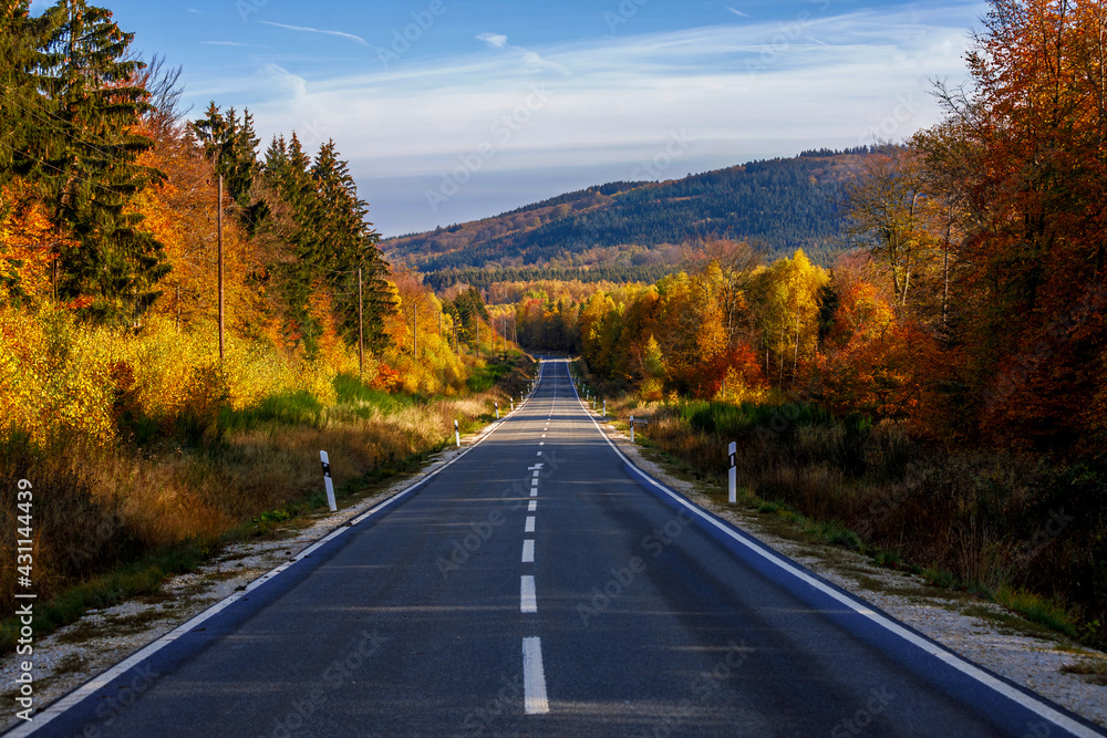 Fototapeta premium autumn in the mountains