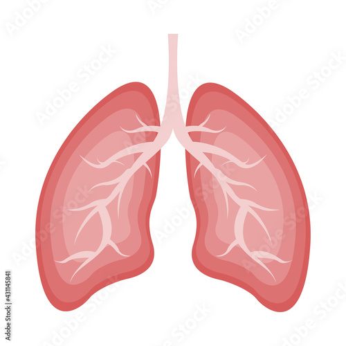 Lungs icon flat style. Human internal organ Isolated on white background. Medicine concept, Anatomy, Logo, Healthcare. Vector illustration.