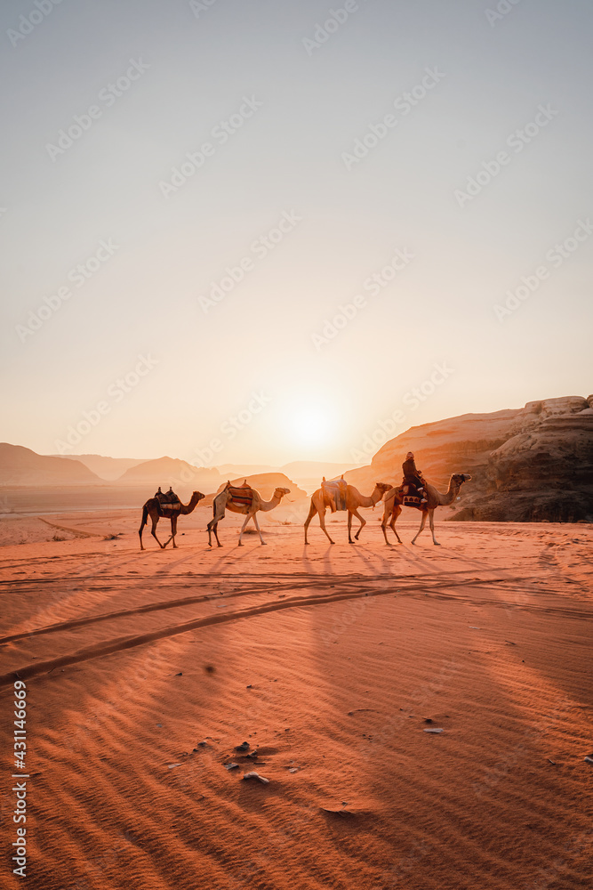 Wadi Rum