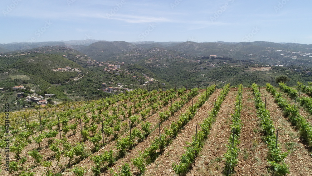 Vineyard landscape view. Wine in progress. Syrah. Cabernet franc. Cabernet sauvignon and merlot. Grapes varieties. Amphora. Batonnage. Vineyard in spring season. Village view