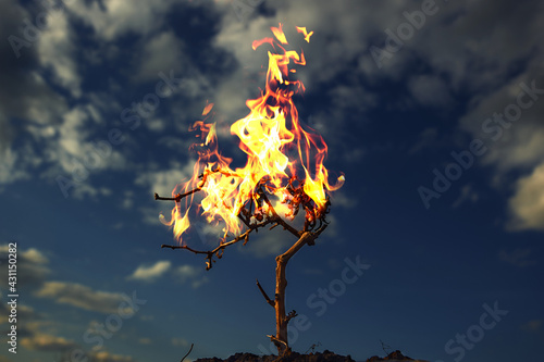Burning bush describing a plot from the Bible against a blue sky.