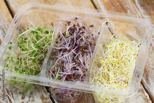 Selection of leek sprouts in transparent plastic box on rustic wooden surface
