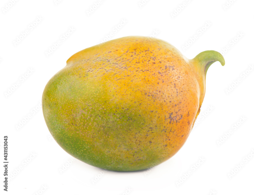 exotic juicy mango fruits isolated on white background exotic juicy mango fruits isolated on white background