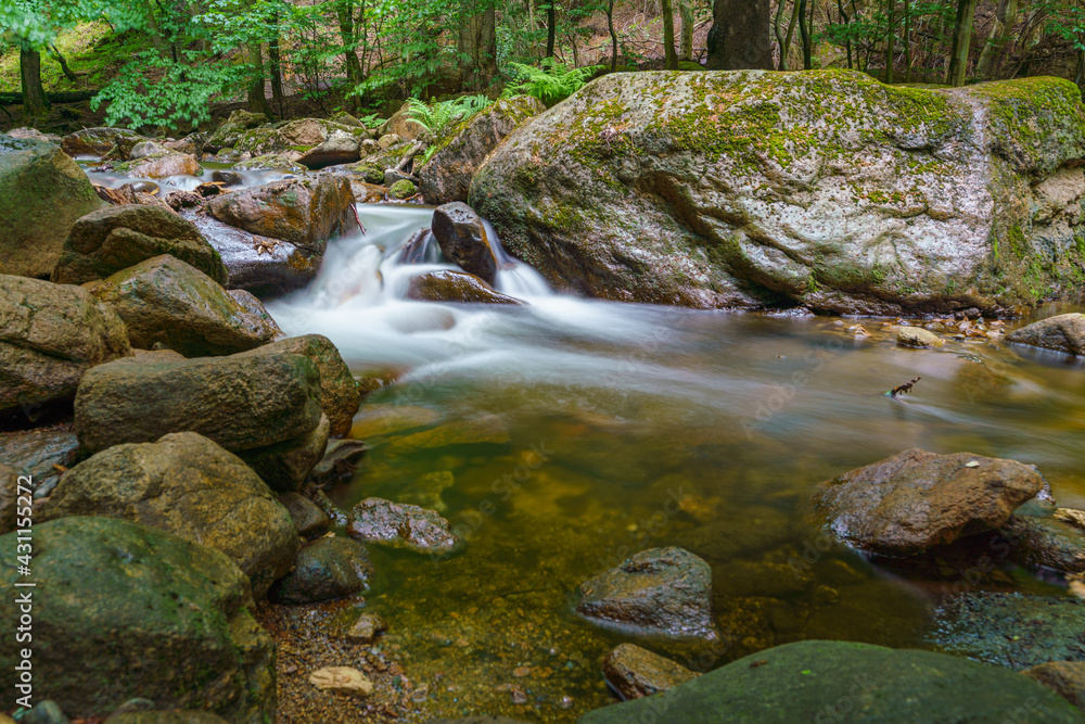 Obraz premium Bach Harz