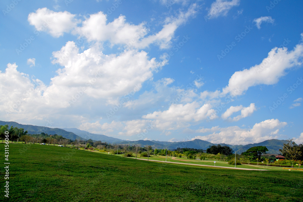 Nature scene of Green Grass Parks with Cloud blue sky background at singha parks , chiang rai , thailand Nature scene of Green Grass Parks with Cloud blue sky background at singha parks , chiang rai , thailand