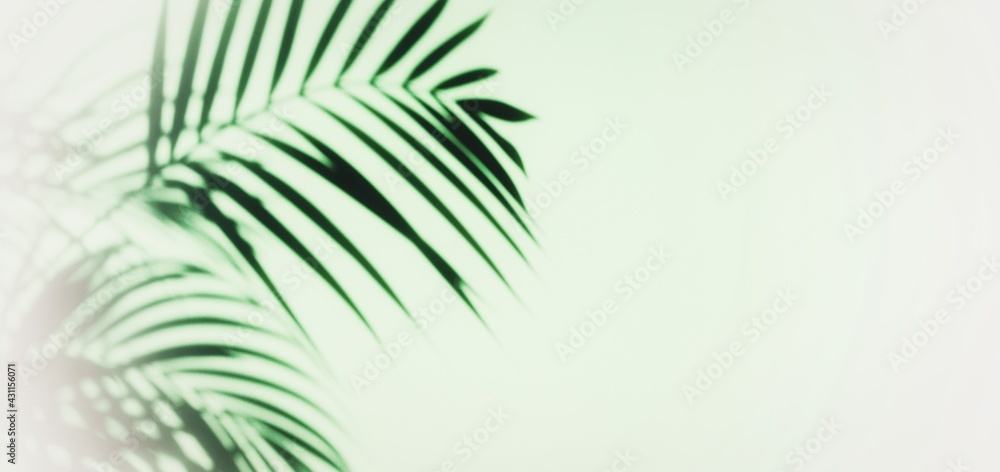 Abstract background with shadow of tropical palm leaves. Creative minimal summer travel concept with shadow palm tree leaf. Blurred background. Banner Hello summer. Mock up