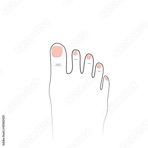 One foot with toes and a pedicure. Top view. Isolate on a white background