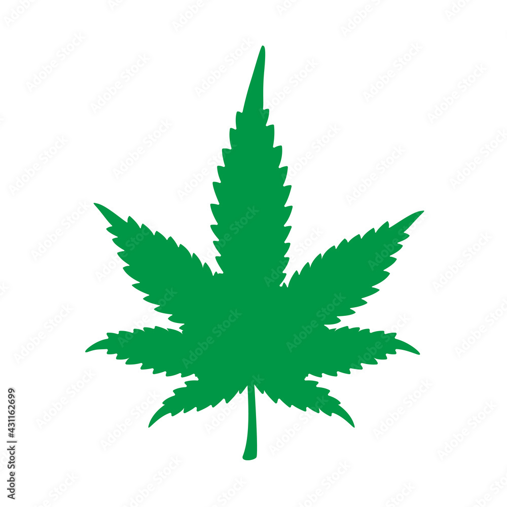 Smoking marijuana Marijuana leaves extracted as a narcotic substance in cigarettes. Smoking marijuana Marijuana leaves extracted as a narcotic substance in cigarettes.